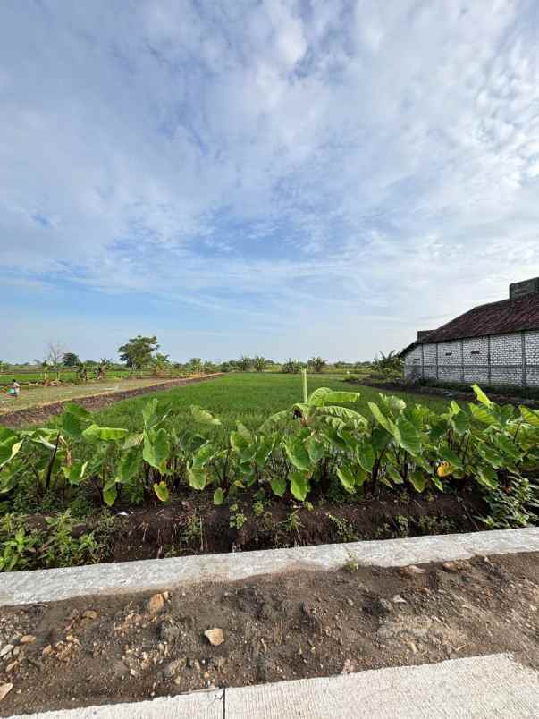 tanah cerme gresik jual cepat