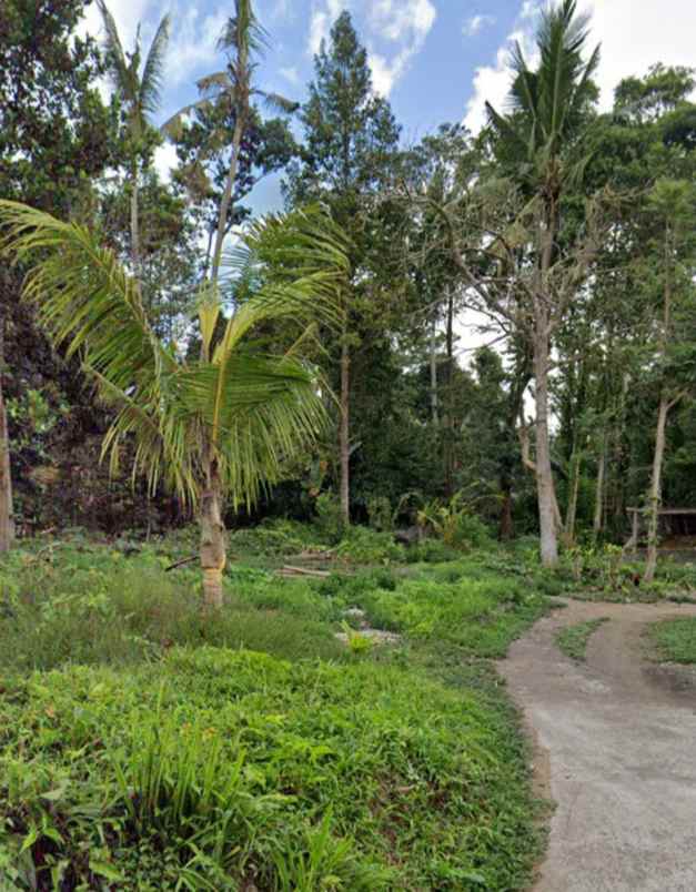 tanah di kedewatan ubud bali zona pariwisata pink zone