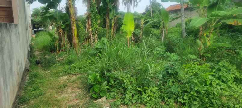 tanah di pulau singkep sukarame luas 1100m shm