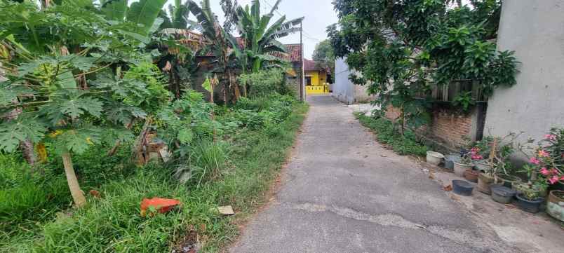 tanah di pulau singkep sukarame luas 1100m shm