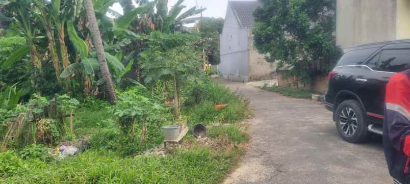 tanah di pulau singkep sukarame luas 1100m shm