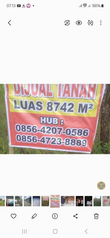 tanah ditanam pohon jati luas