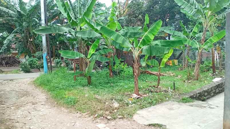 tanah hook bagus dekat tugu tani pekapuran