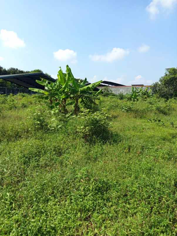 tanah industri strategis samping gerbang tol kalijati