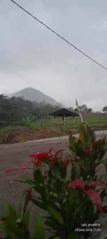 tanah kavling villa sejuk dekat jonggol puncak 2 bogor