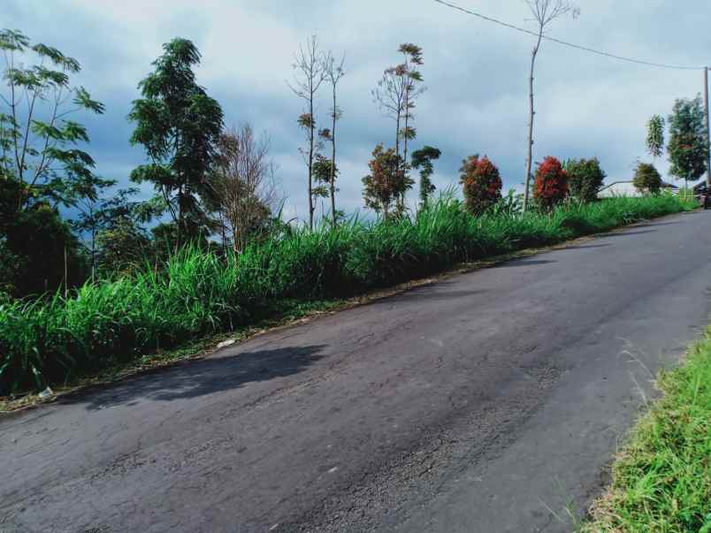 tanah kemuning ngargoyoso