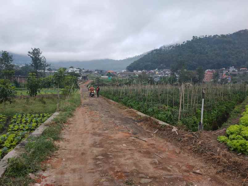 tanah lahan kuning luas subur strategis di kota batu