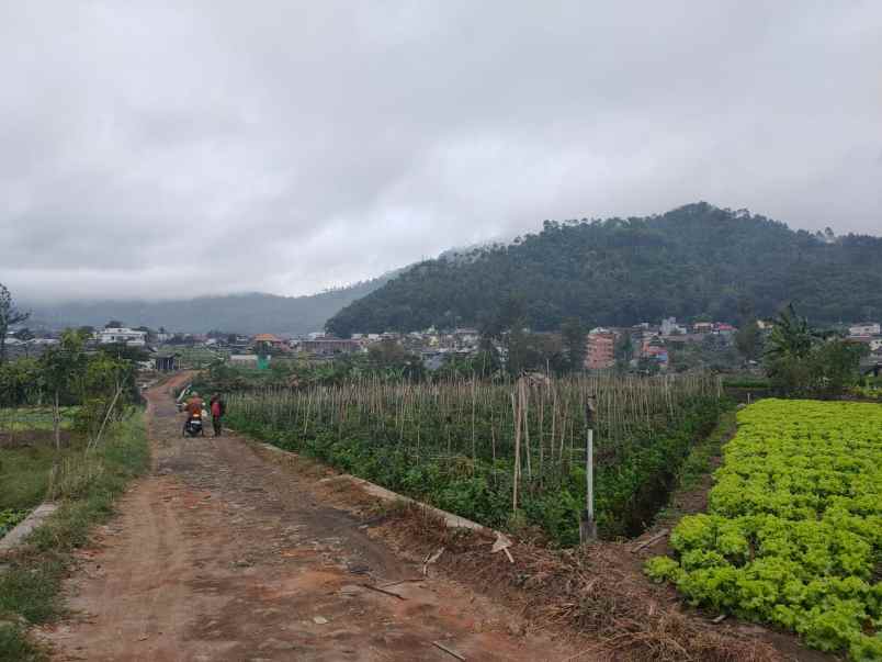 tanah lahan kuning luas subur strategis di kota batu