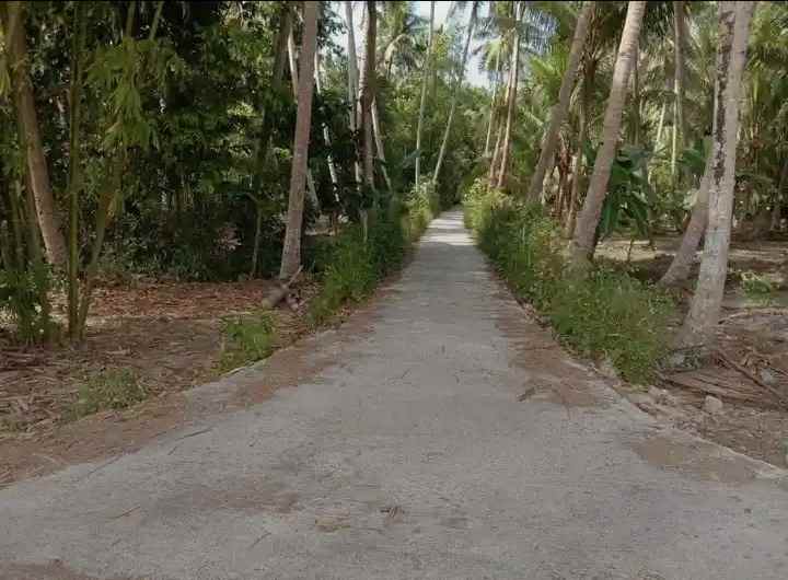 tanah murah carikan bumirejo kulonprogo