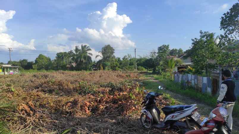 tanah murah di sekojo ujung irigasi