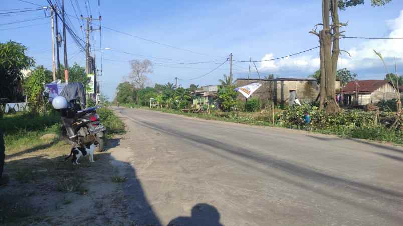 tanah murah di sekojo ujung irigasi