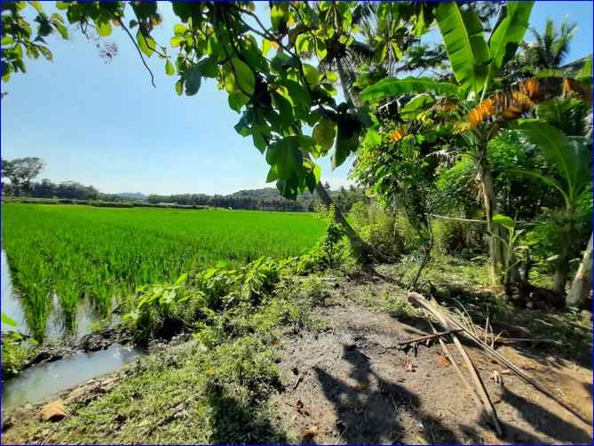 tanah murah jogja kulonprogo cocok villa siap ajb