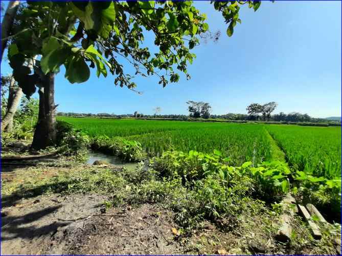 tanah murah jogja kulonprogo cocok villa siap ajb