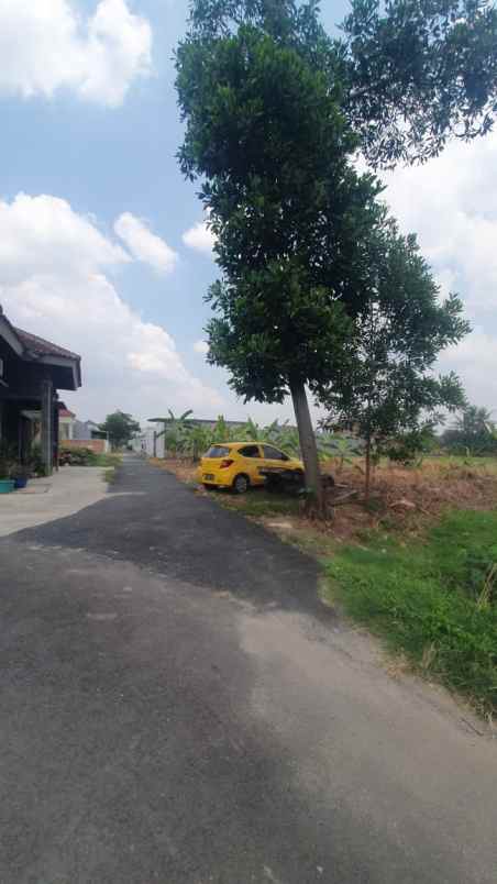tanah murah rajabasa jaya