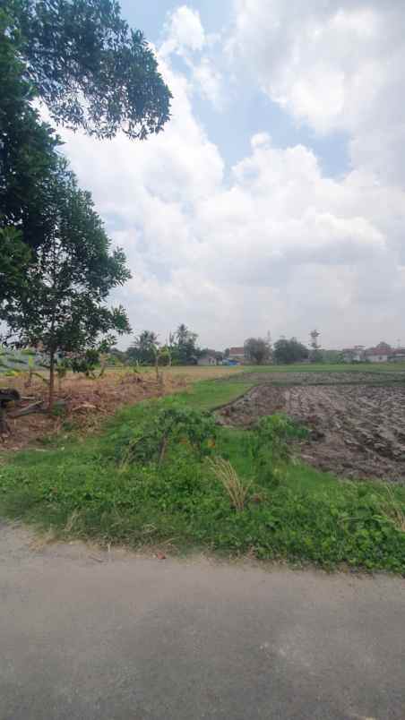 tanah murah rajabasa jaya