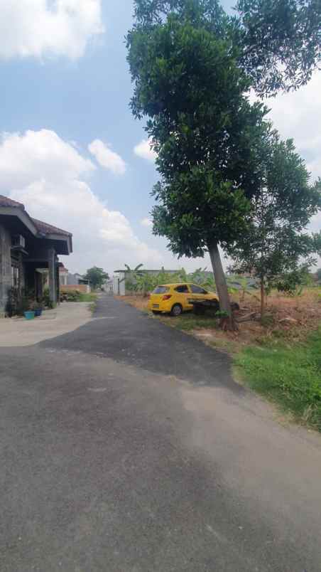 tanah murah rajabasa jaya