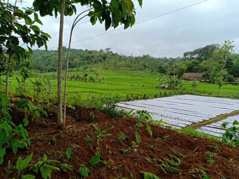 tanah ngargoyoso karanganyar