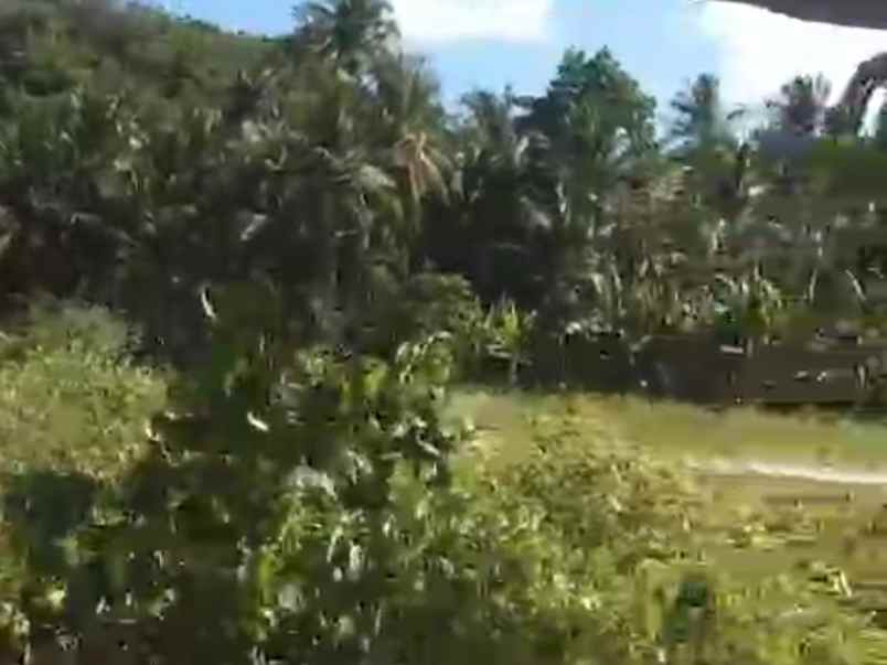 tanah pantai mutun di lampung luas 11 117m 1 1 hektar