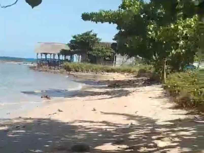 tanah pantai mutun di lampung luas 11 117m 1 1 hektar