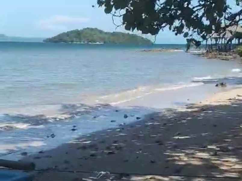 tanah pantai mutun di lampung luas 11 117m 1 1 hektar