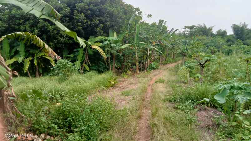 tanah perumajan 19 687 m2 setu bekasi