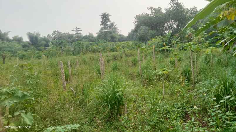 tanah perumajan 19 687 m2 setu bekasi