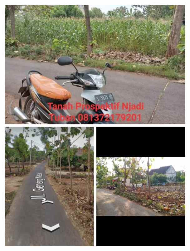 tanah prospektif njadi tuban