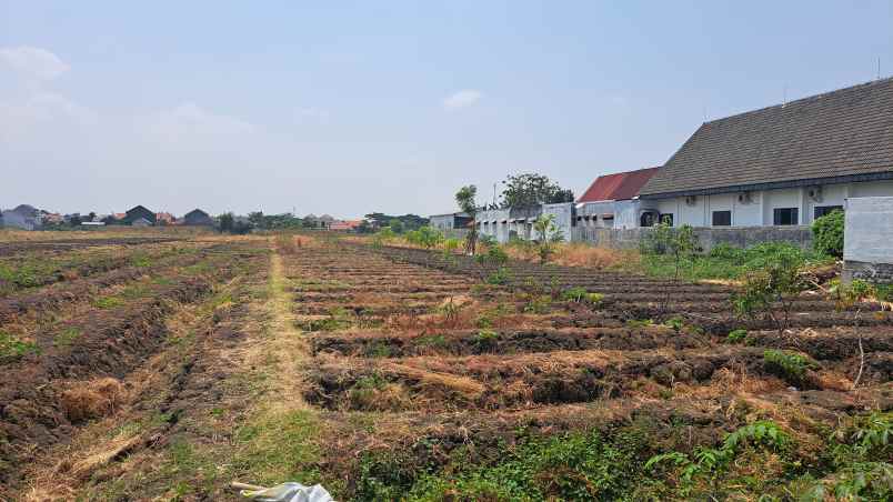 tanah strategis di kota brebes