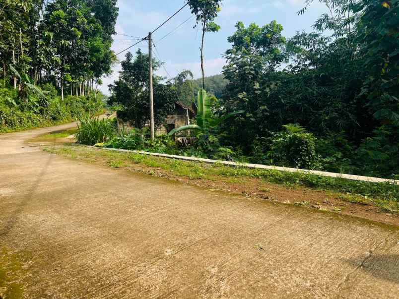 tanah subur 1472m hanya 250jt ngargoyoso