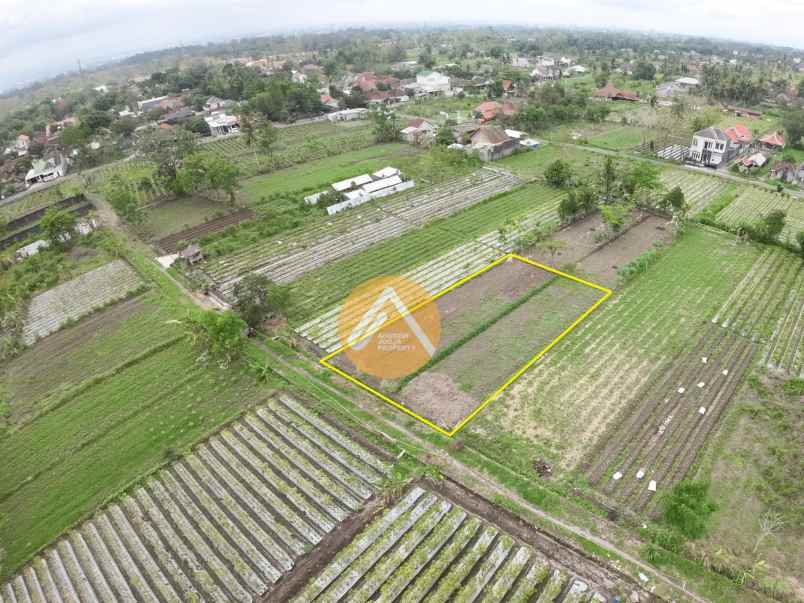 tanah timur pasar gentan akses mudah harga murah