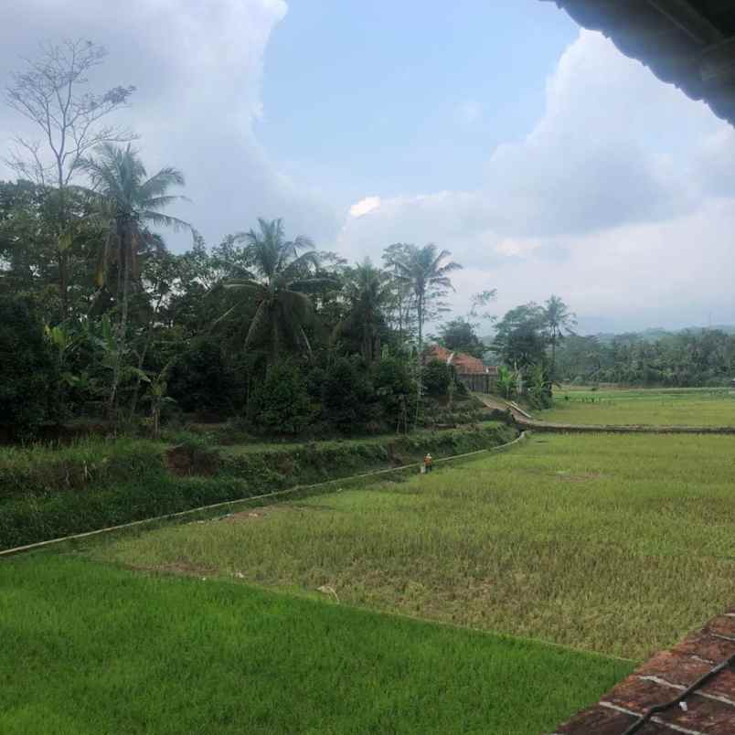 villa rumah liburan asri dengan kolam renang