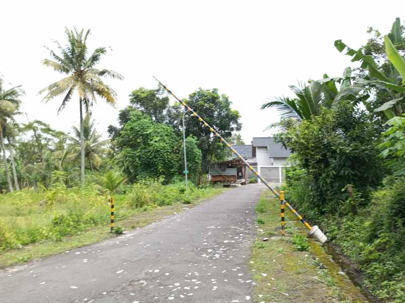 cocok hunian villa kavling view sawah shm pekarangan