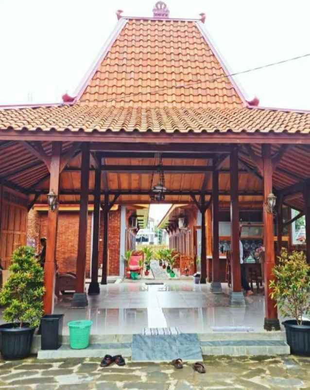 dijual homestay djoglo boto sewon bantul jogjakarta
