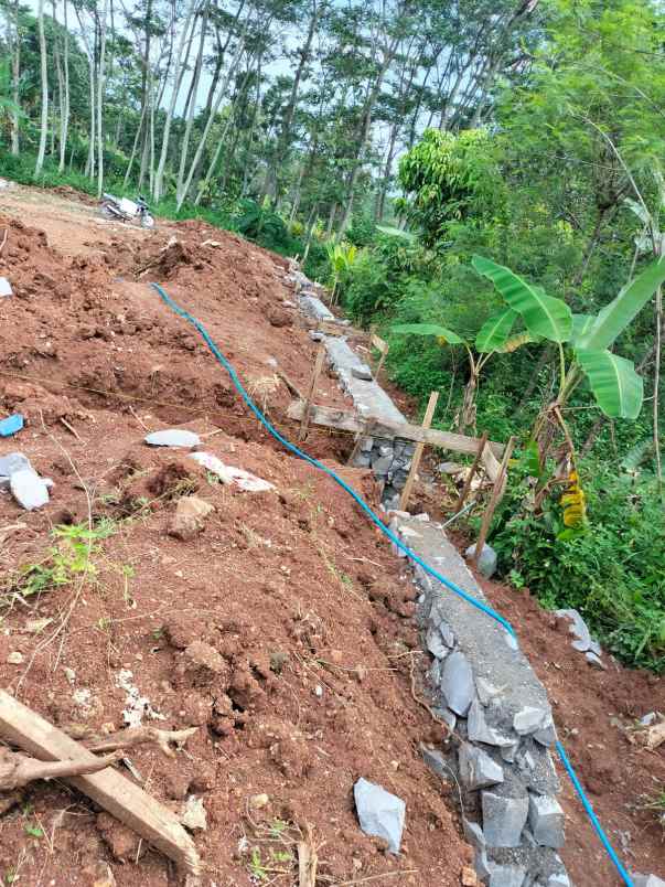 dijual rumah bulusan selatan