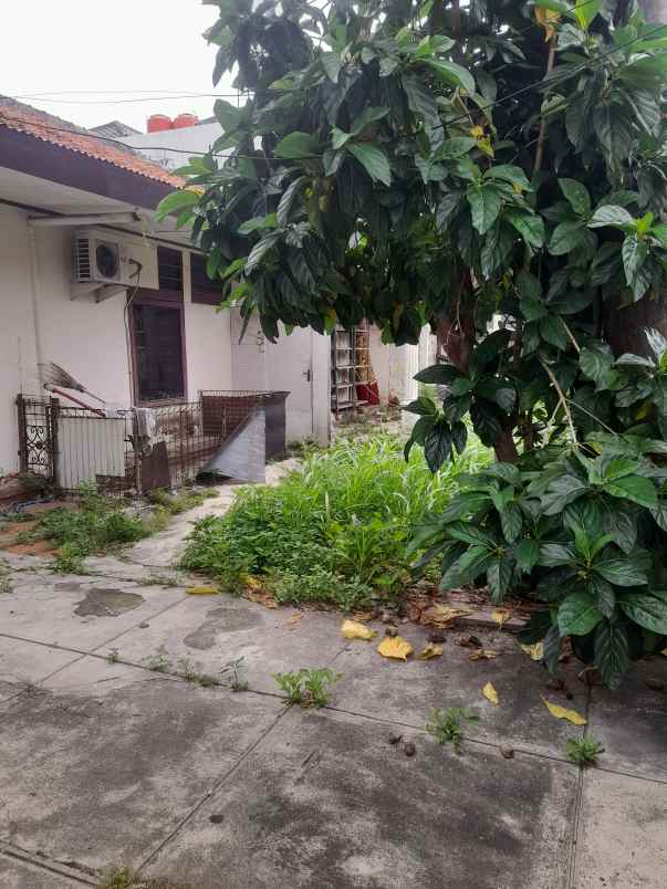 dijual rumah cempaka putih timur