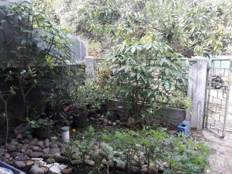 dijual rumah di g iya katulampa bogor timur