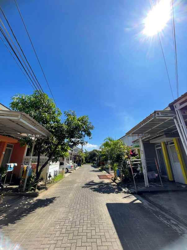 dijual rumah grand pinus regency