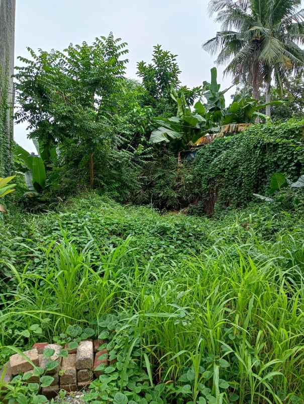 dijual rumah jalan poncol indah