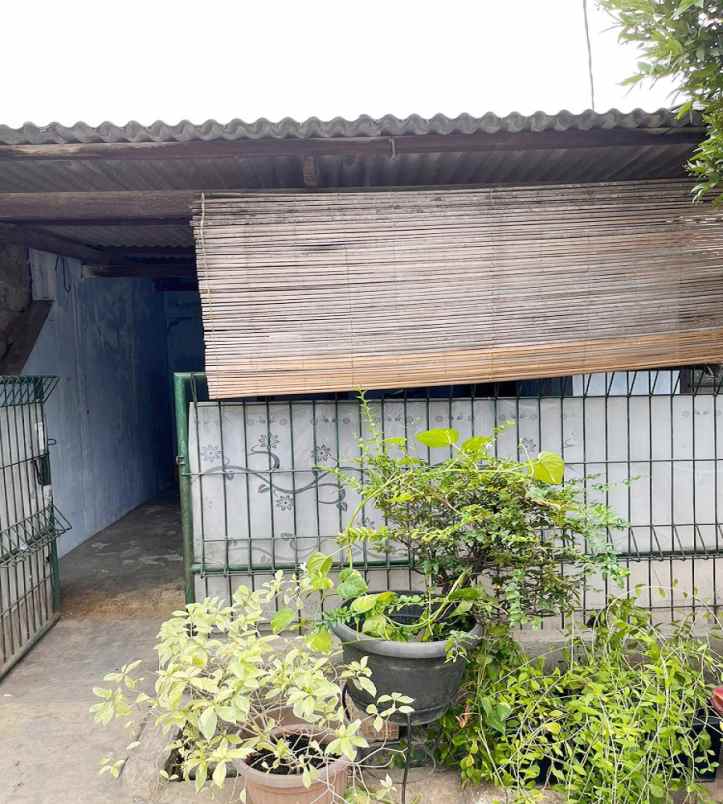 dijual rumah jl borneo selatan 2 no 249