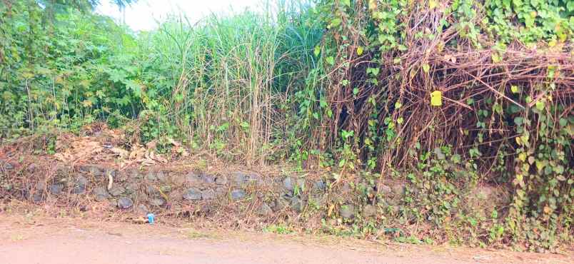dijual tanah 4258 m2 di keramas blahbatuh gianyar bali