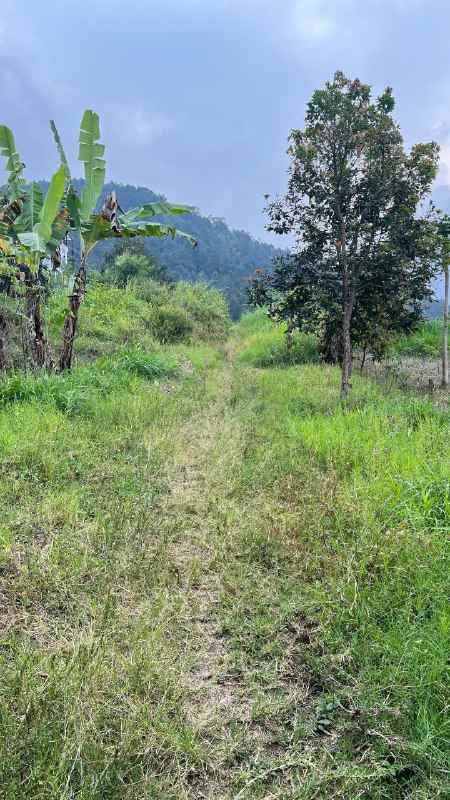 dijual tanah abdul gani batu malang