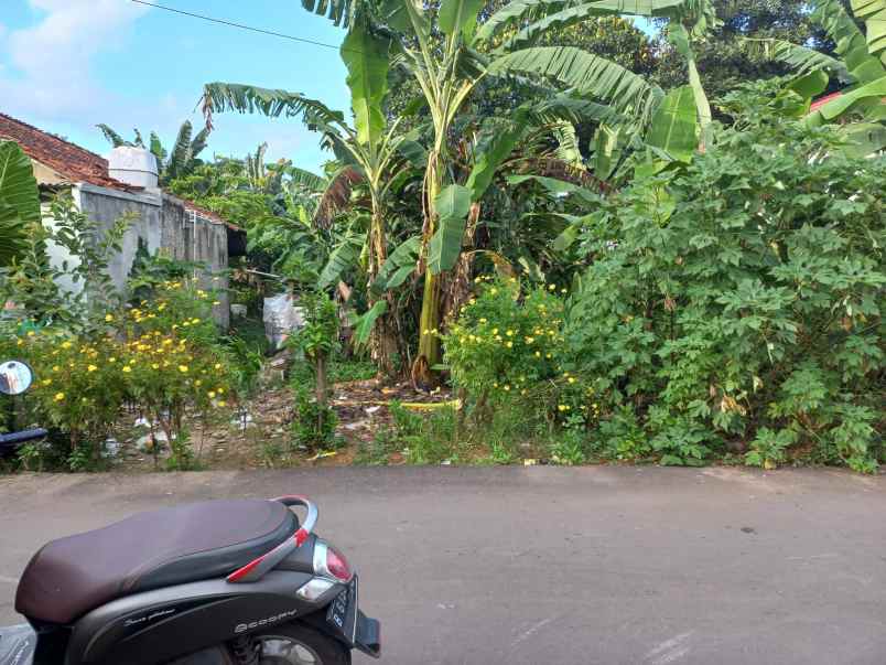 dijual tanah benda baru pamulang