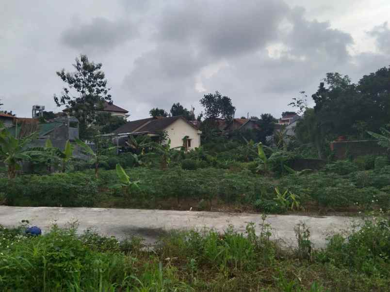 dijual tanah bulusan