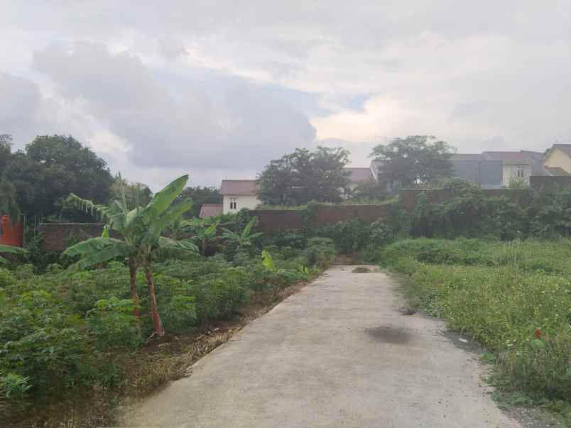 dijual tanah bulusan