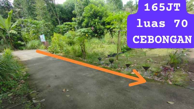 dijual tanah cebongan