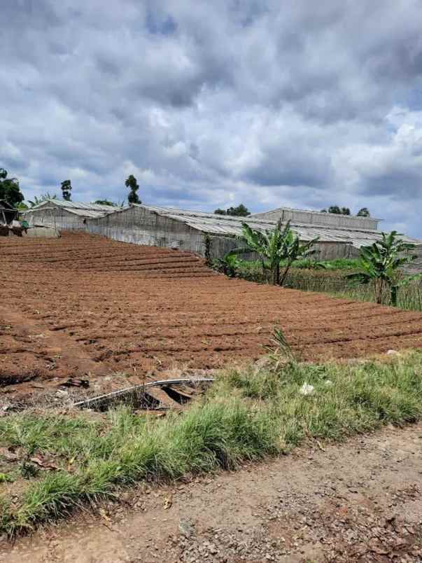 dijual tanah cilimus hilir padaasih kec