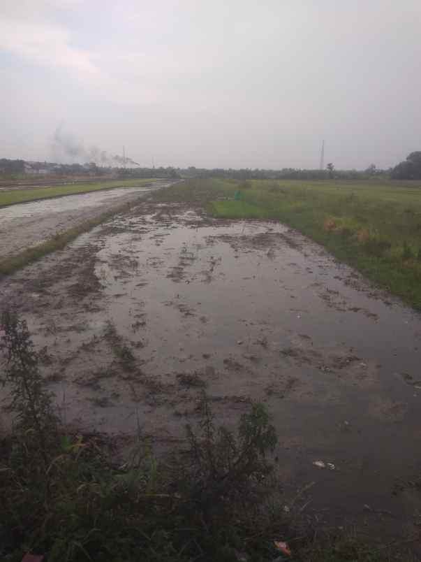 dijual tanah daerah irian jaya pasuruan