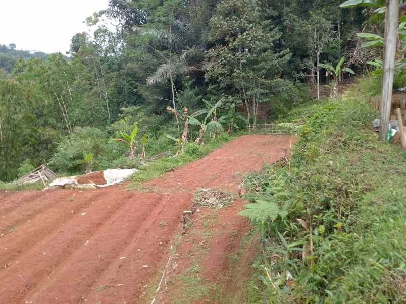 dijual tanah darat kebun strategis dan produktif