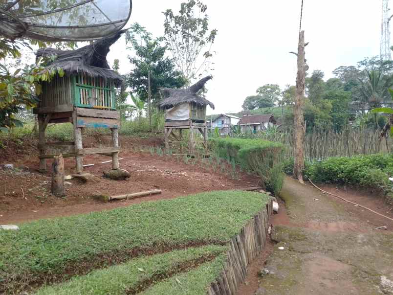 dijual tanah darat kebun strategis dan produktif