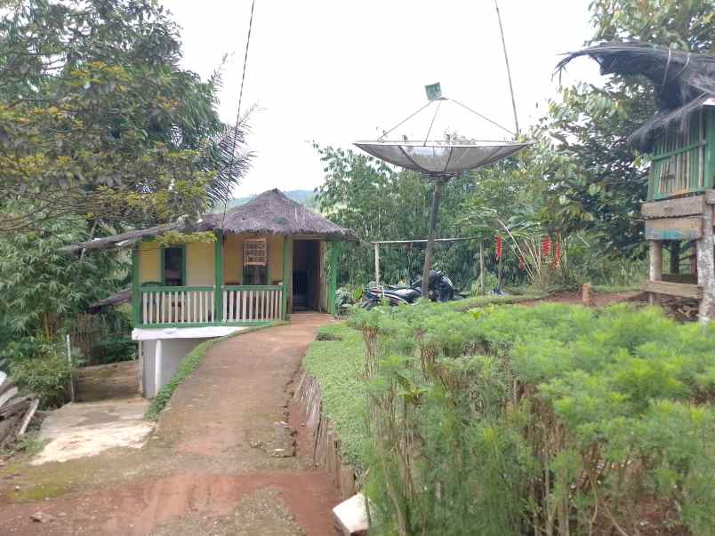 dijual tanah darat kebun strategis dan produktif